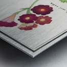 Primrose in vintage style Metal print