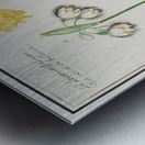 Tulip in vintage style Metal print