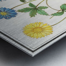 Windflower in vintage style Metal print