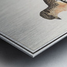 Brambling in vintage style Metal print