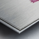 Cyclamen in vintage style Metal print