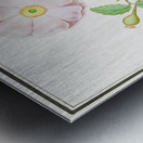 Dogstand flower wild rose and papaver Metal print