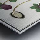 Dogstand flower wild rose and papaver Metal print