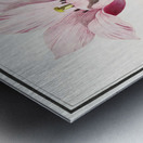 Tulip in vintage style Metal print