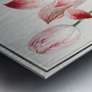 Tulip in vintage style Metal print