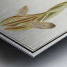 Yellow iris in vintage style Metal print