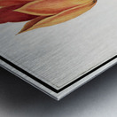 Tulip in vintage style Metal print