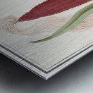 Maize in vintage style Metal print