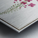 Willowherb in vintage style Metal print