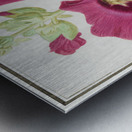 Alcea in vintage style Metal print