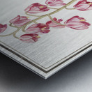 Cabbage in vintage style Metal print