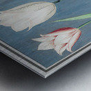 Tulip in vintage style Metal print