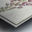 Persian lily in vintage style Metal print