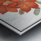 Red lily in vintage style Metal print