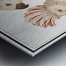 Moluccan cockatoo vintage style Metal print