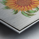 Sunflower in vintage style Metal print