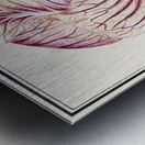 White cabbage in vintage style Metal print