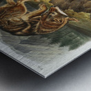 Prairie Wolf Canis latrans  Metal print