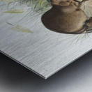 Musk-Rat Musquash Fiber Zibethicus  Metal print