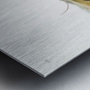 Jumping Mouse Meriones Americanus  Metal print