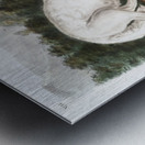 White American Wolf Canis lupus  Metal print