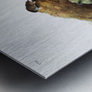 Least Shrew Sorex parvus  Metal print