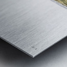 Star-nose Mole Condylura cristata  Metal print