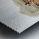 Hare Lepus Bachmani  Metal print