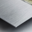 Leopard Spermophile Spermophilus tridecemlineatus  Metal print