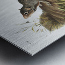 Large-tailed Spermophile Spermophilus macrourus  Metal print