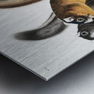 Fox Squirrel Sciurus capistratus  Metal print