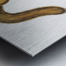 Cat Squirrel Sciurus cinereus  Metal print