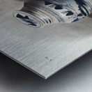 Cotton Rat Arvicola hispidus  Metal print