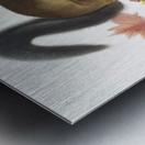 Long-haired Squirrel Sciurus longipilis  Metal print