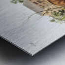 Tawny Weasel Putorius fuscus  Impression metal