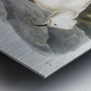 Tawny Weasel Putorius fuscus  Metal print