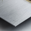 Yellow cheeked Meadow Mouse Arvicola xanthognathus  Metal print