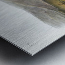 Little Nimble Weasel Putorius agilis  Metal print