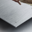 Little American Brown Weasel Mustela fusca  Metal print