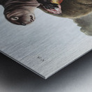 Sea Otter Enhydra marina  Metal print