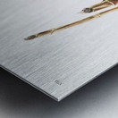 Little Harvest Mouse Mus minimus  Metal print