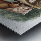 Pine Marten Mustela martes  Metal print