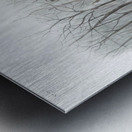 Meadow Mouse Arvicola richardsonii  Metal print