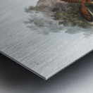 Marmot Squirrel Spermophilus Parryi  Metal print