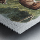 Deer or Virginian Deer Cervus Virginianus  Metal print