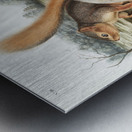 Squirrel Sciurus Sayi  Metal print