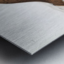 Northern Hare Lepus Americanus  Metal print