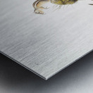 Four-striped Ground Squirrel Tamias quadrivitatus  Metal print