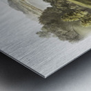 White-footed Mouse Mus leucopus  Metal print