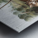 Cougar Felis concolor  Metal print